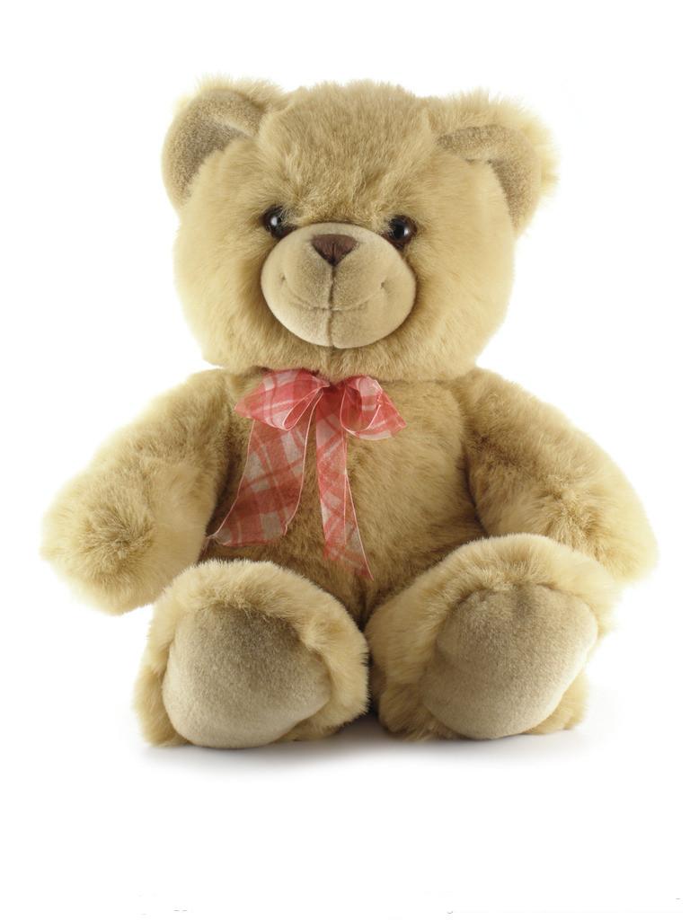 Teddy Bear JTB-26