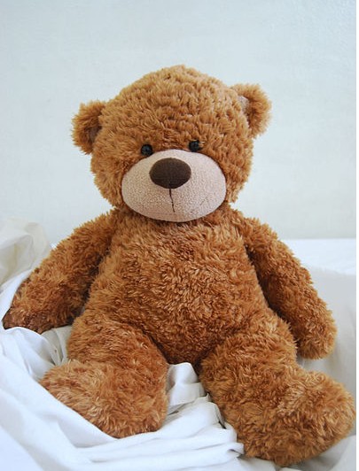 Teddy Bear JTB-24